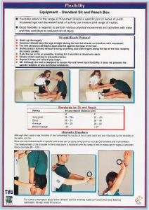 Chartex Flexibility Chart